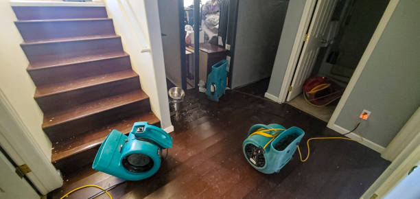 Best Sewage cleanup and water damage restoration  in Pennville, PA