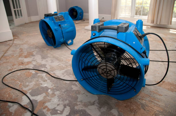 Best Emergency water damage restoration  in Pennville, PA