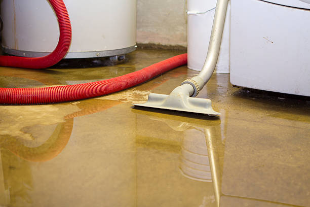 Best Water damage contractors near me  in Pennville, PA